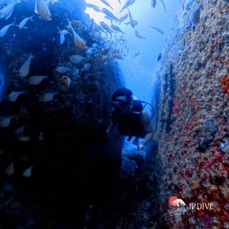 Aula de mergulho recreativo em João Pessoa