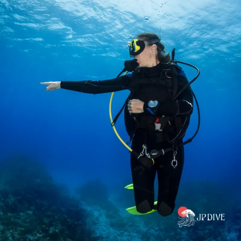 Curso básico de scuba em são paulo