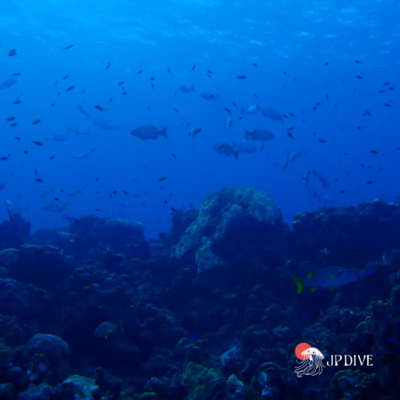 Deep diver em João Pessoa