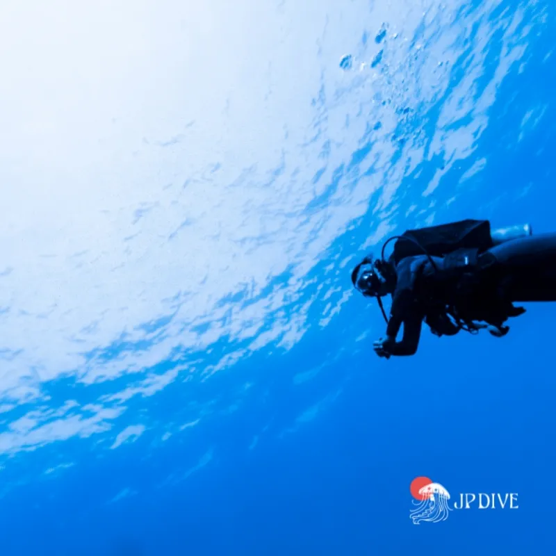 Escola de mergulho em Fernando de Noronha