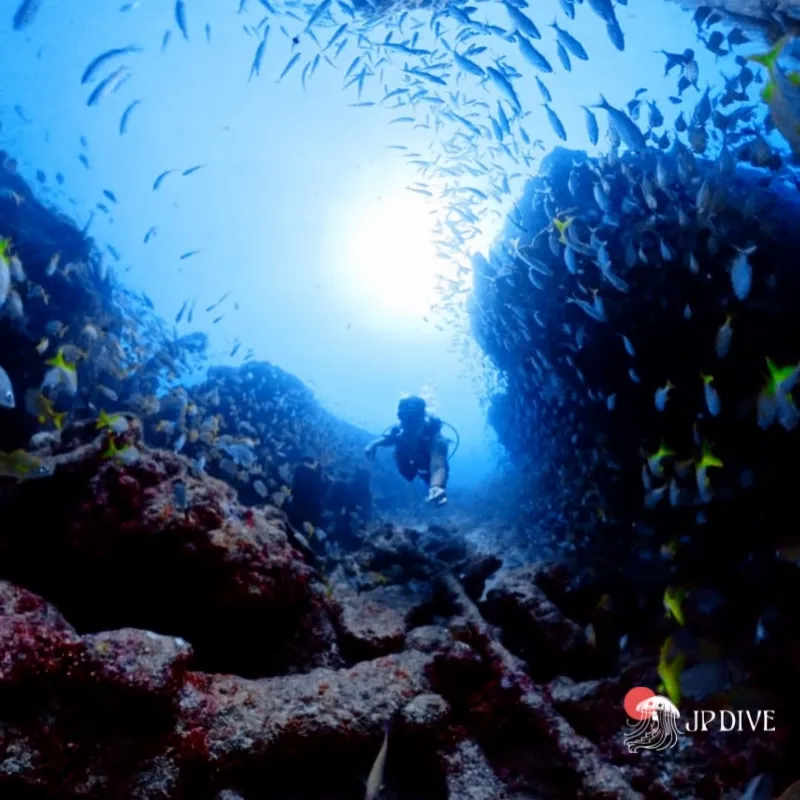 Mergulho recreacional em João Pessoa
