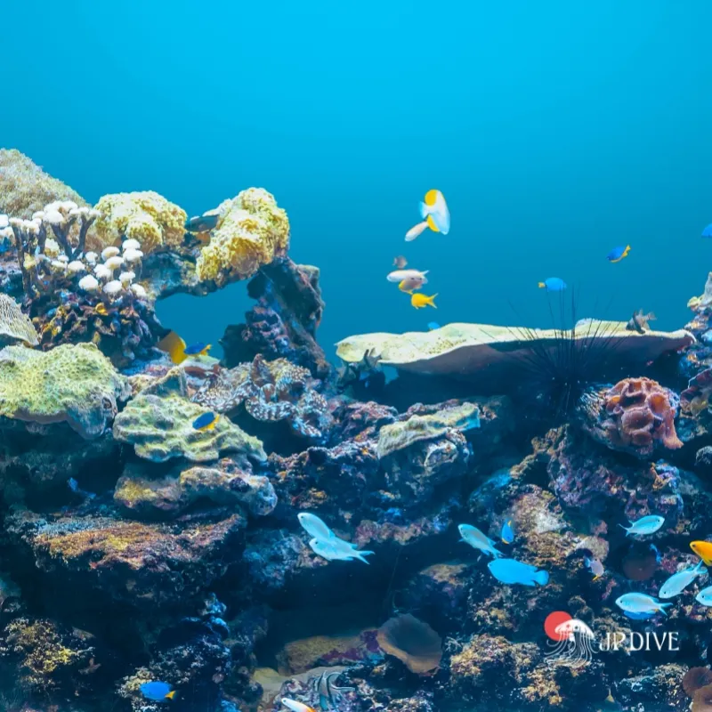 Mergulho subaquático