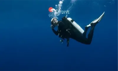 Ilustração do Mergulho Recreativo