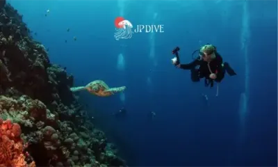 Ilustração do Mergulho Científico