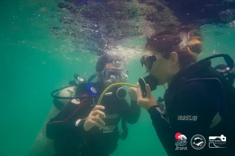 Ilustração da edição anterior da JP Dive