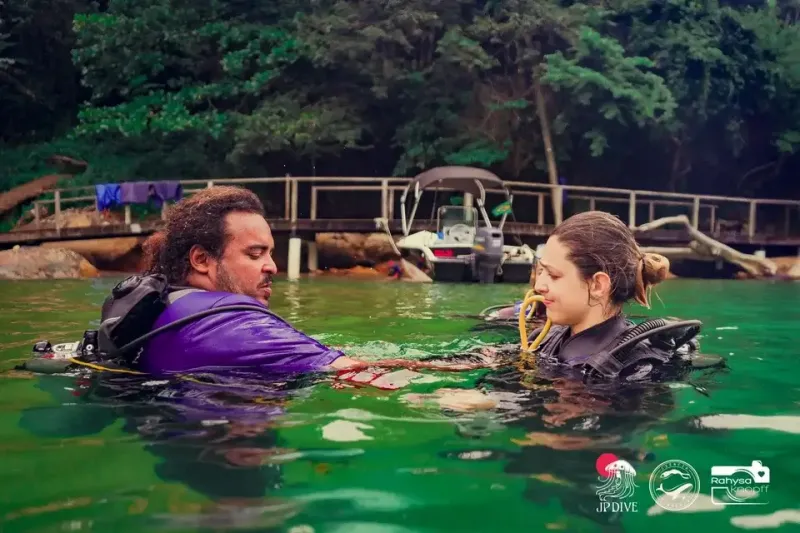 Ilustração da edição anterior da JP Dive