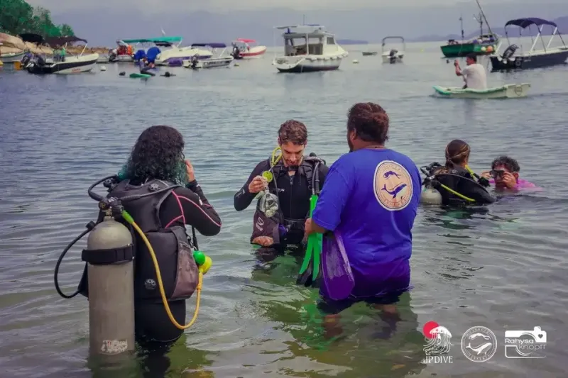 Ilustração da edição anterior da JP Dive