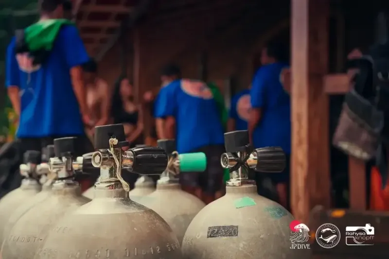 Ilustração da edição anterior da JP Dive