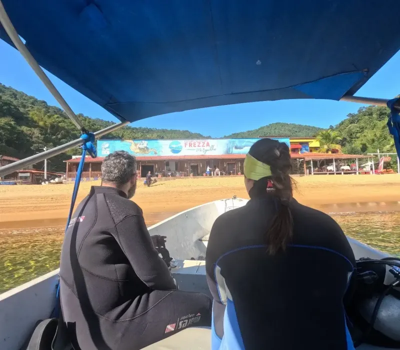 Ilustração da edição anterior da  JP Dive