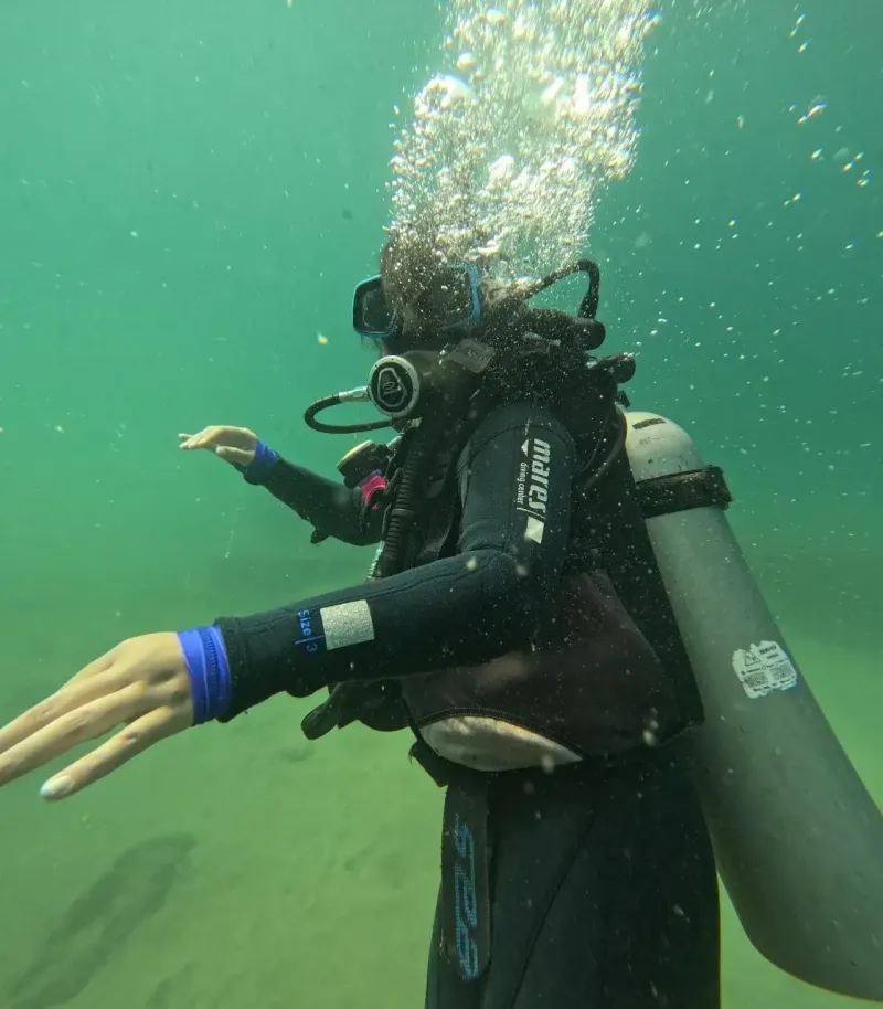 Ilustração da edição anterior da  JP Dive