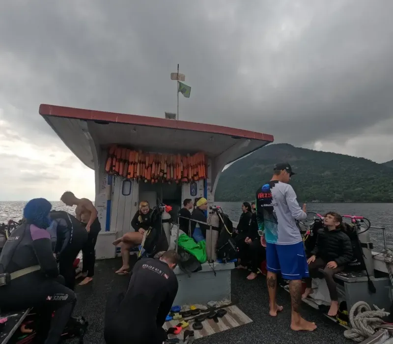 Ilustração da edição anterior da  JP Dive