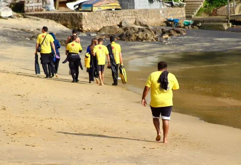 Ilustração da edição anterior da  JP Dive