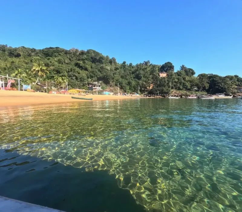 Ilustração da edição anterior da  JP Dive