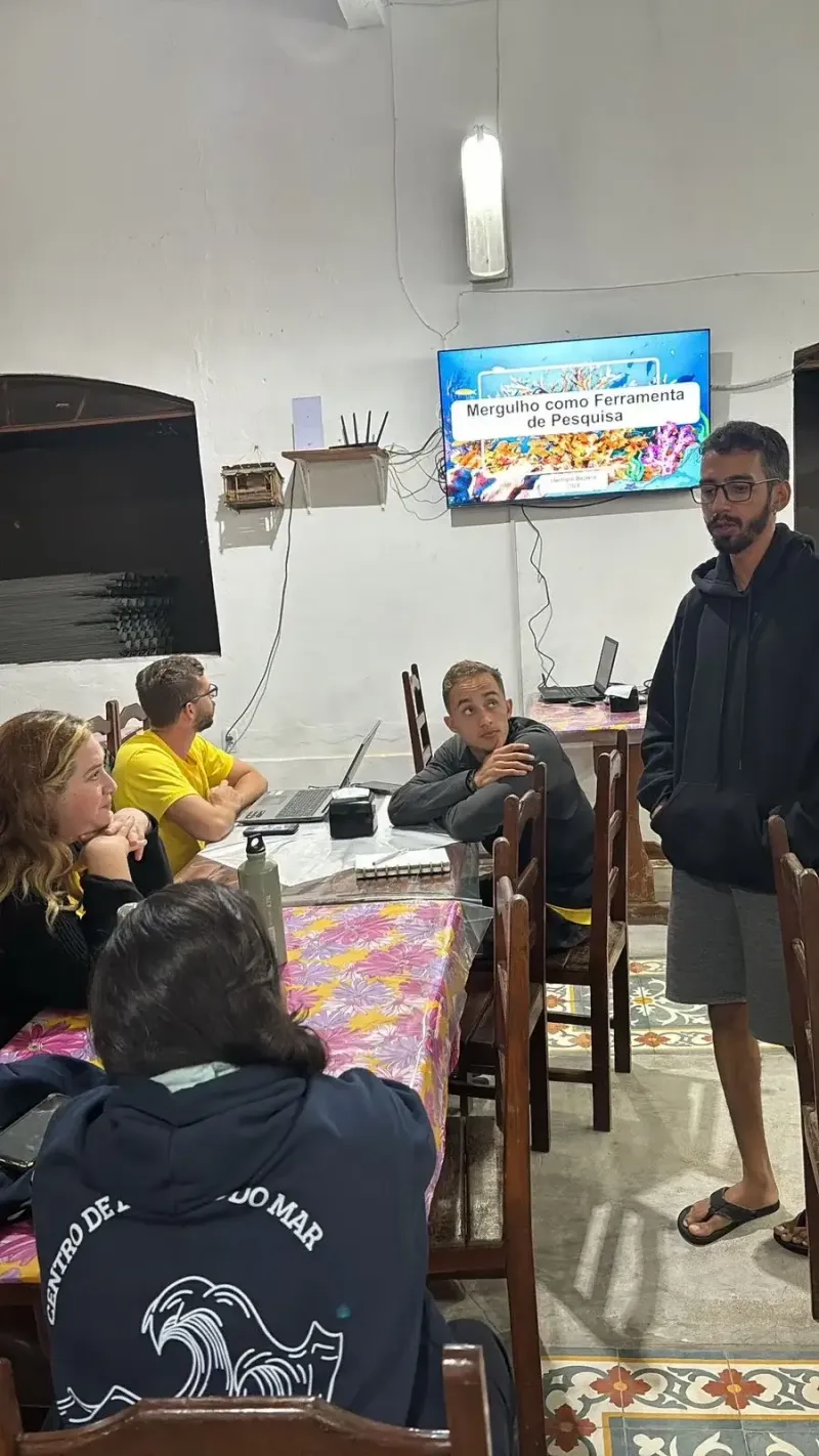 Ilustração da edição anterior da  JP Dive