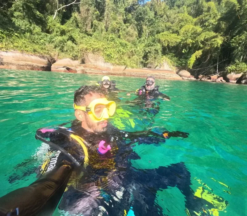 Ilustração da edição anterior da  JP Dive