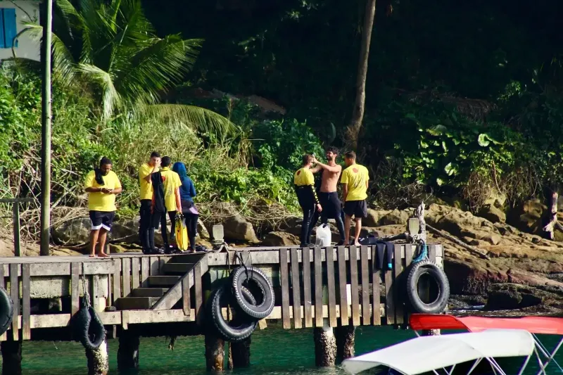 Ilustração da edição anterior da  JP Dive