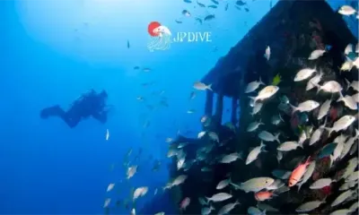 Ilustração do Advanced Open Water