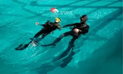 Ilustração do Rescue