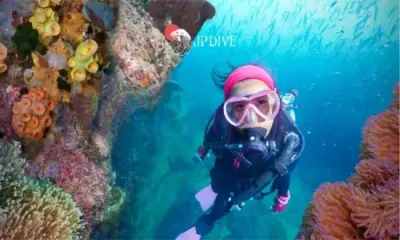 Ilustração do Open Water